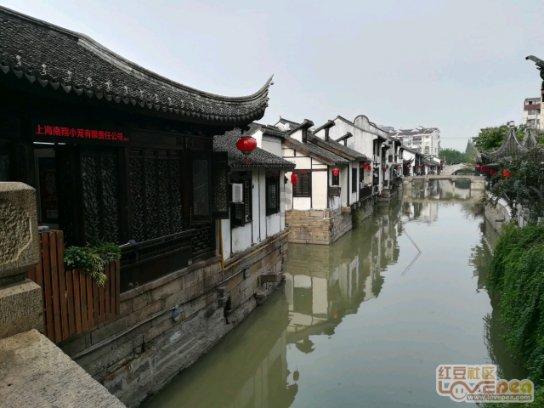 救援可爱的小丑